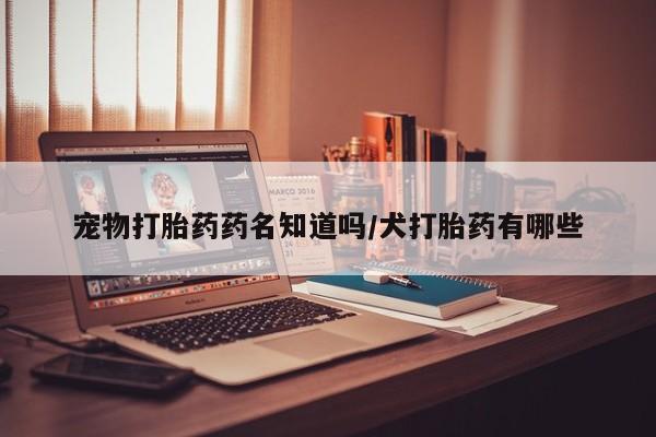 打胎药宠物打胎药药名知道吗/犬打胎药有哪些